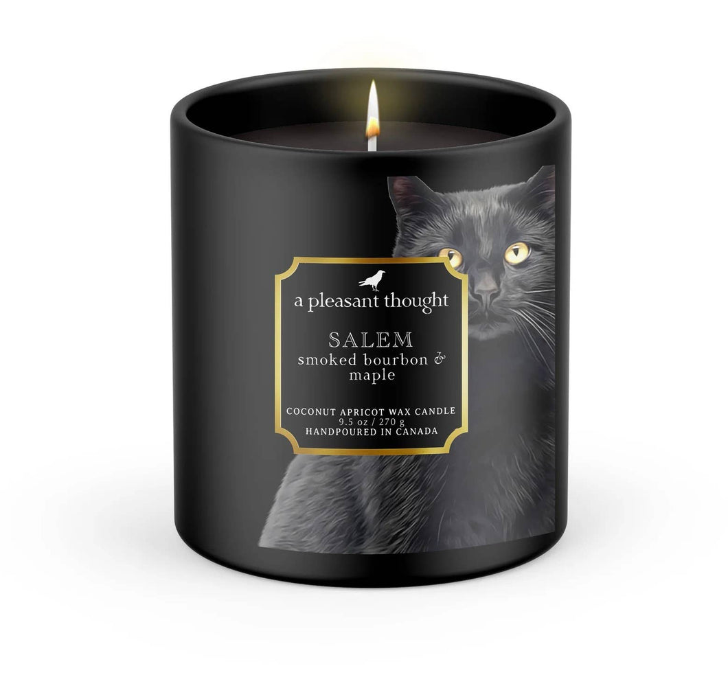 A Pleasant Thought - SALEM | SMOKED BOURBON & MAPLE | RAVEN CANDLE: Wood