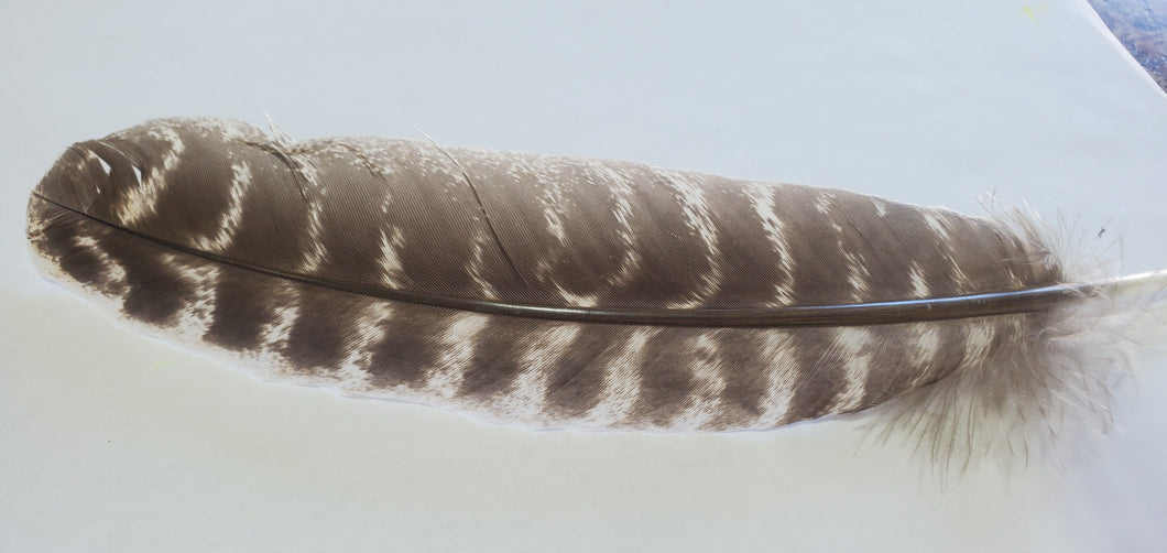 Feather