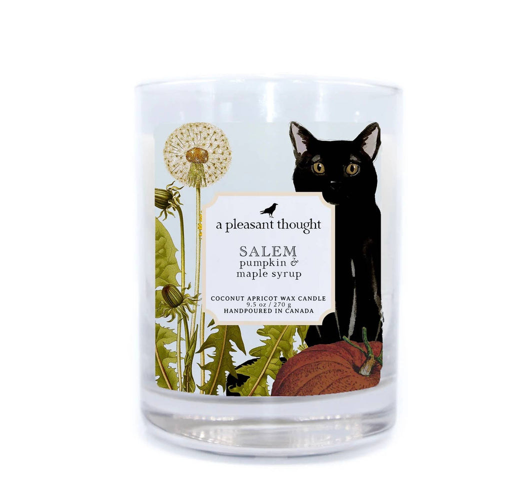 A Pleasant Thought - SALEM | PUMPKIN & MAPLE SYRUP | CANDLE